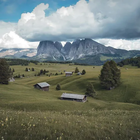 Montagne del Trentino